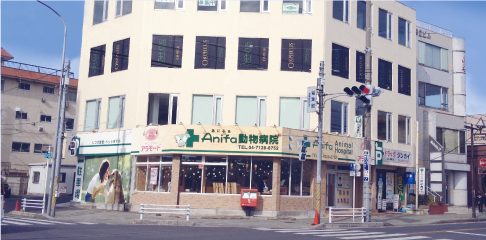 アニファ動物病院 柏病院
