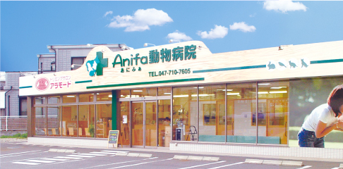 アニファ動物病院 松戸病院