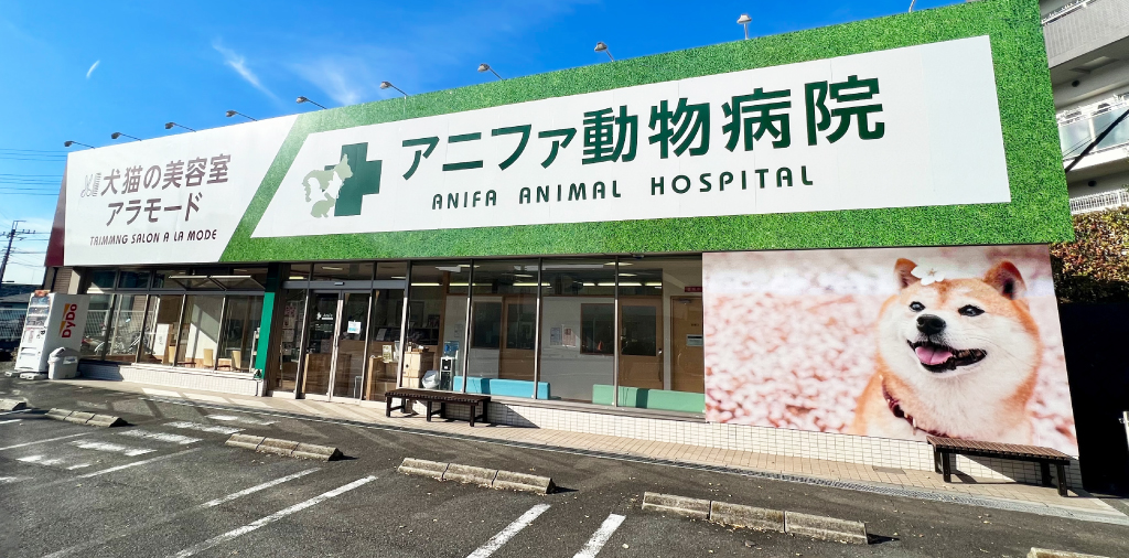 アニファ動物病院　松戸病院