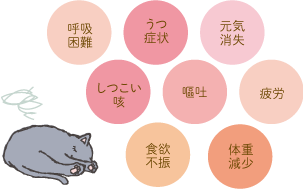 フィラリアの主な症状の図