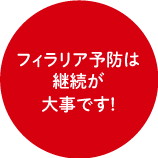 フィラリアの主な症状の図