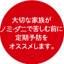 大切な家族がノミ・ダニで苦しむ前に定期予防をオススメします。