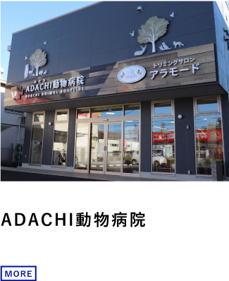 ADACHI動物病院