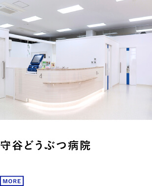 守谷どうぶつ病院