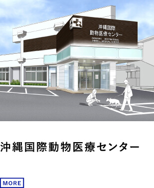 沖縄国際動物医療センター