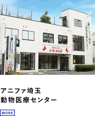 アニファ埼玉総合動物医療センター