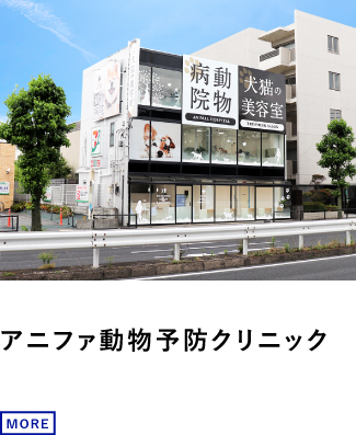 アニファ動物予防クリニック