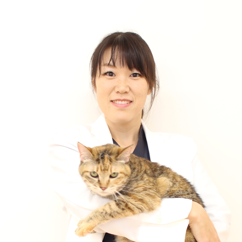 大月 みゆき