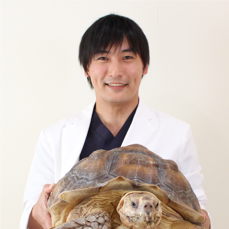 田中 淳