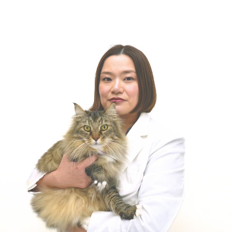後藤 佳美